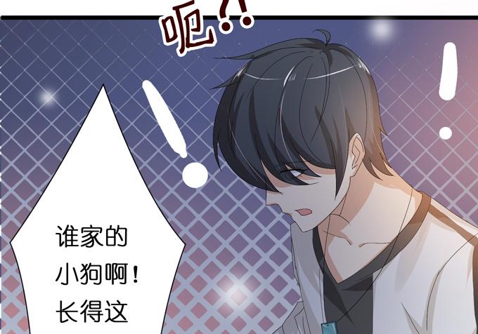 《妲己不是坏狐狸》千年的约定 第243页