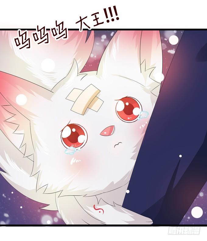 《妲己不是坏狐狸》千年的约定 第246页