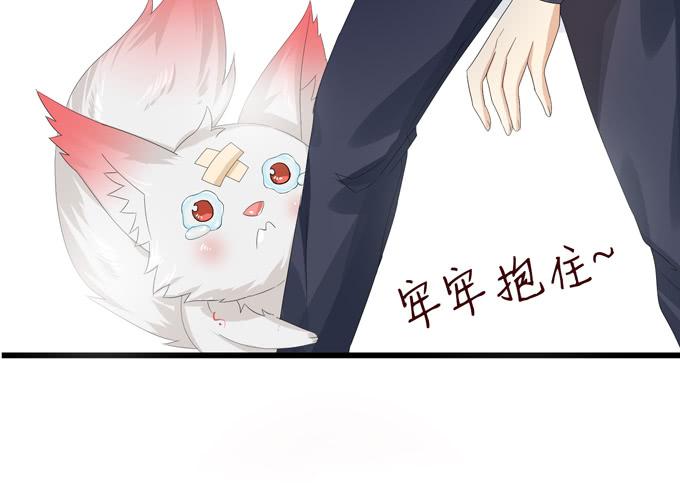 《妲己不是坏狐狸》千年的约定 第245页