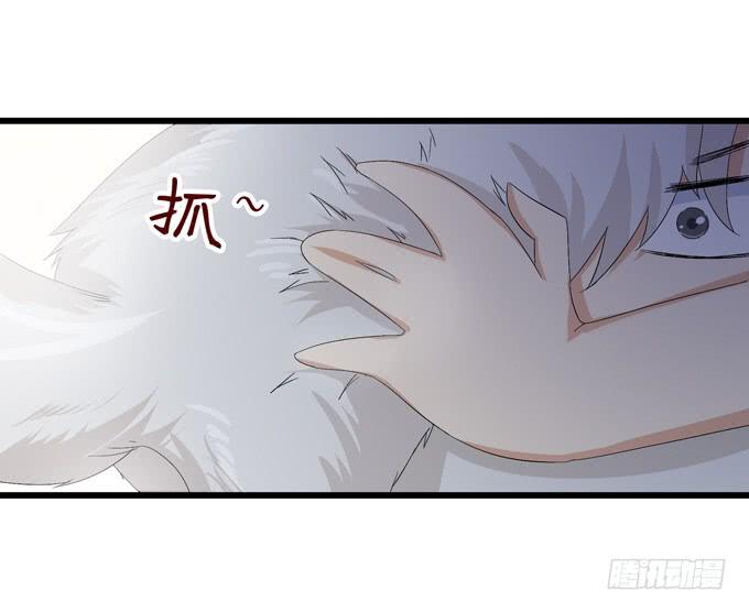 《妲己不是坏狐狸》千年的约定 第235页