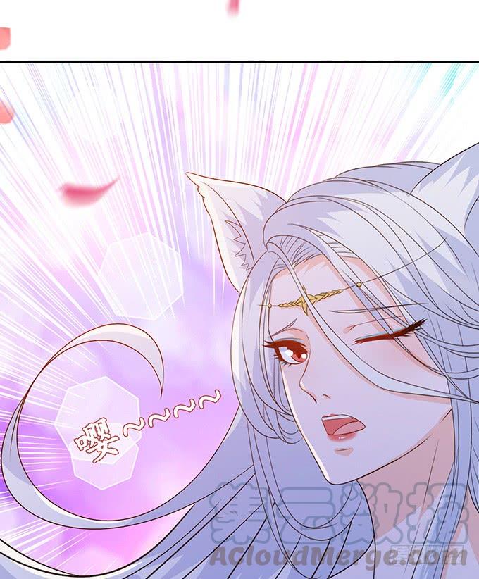 《妲己不是坏狐狸》伯邑考现身 第61页