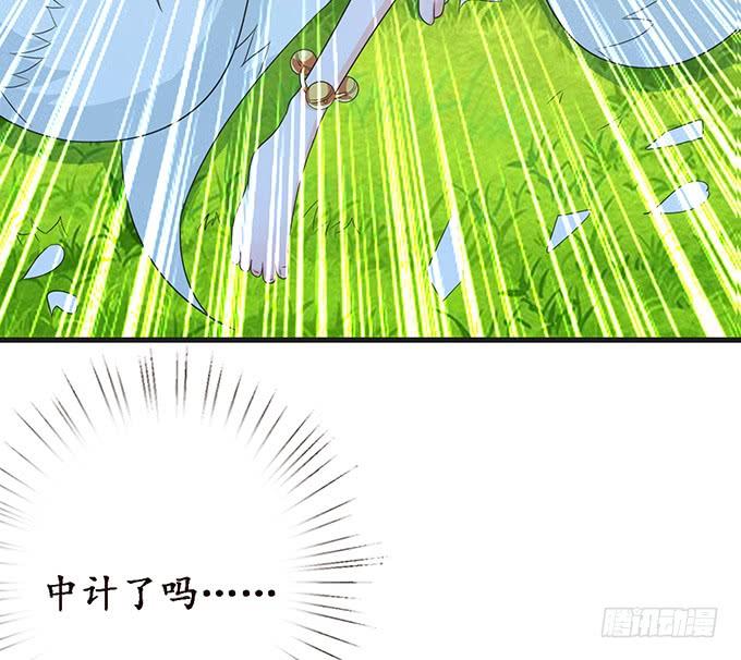 《妲己不是坏狐狸》妲己的记忆 第13页