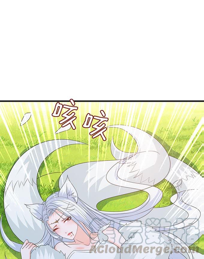 《妲己不是坏狐狸》妲己的记忆 第11页