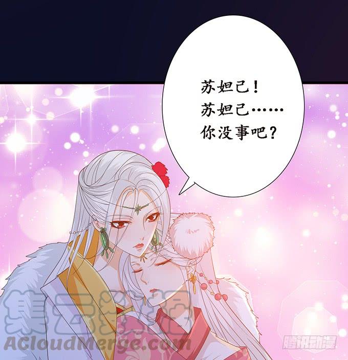《妲己不是坏狐狸》帝王的权谋 第11页