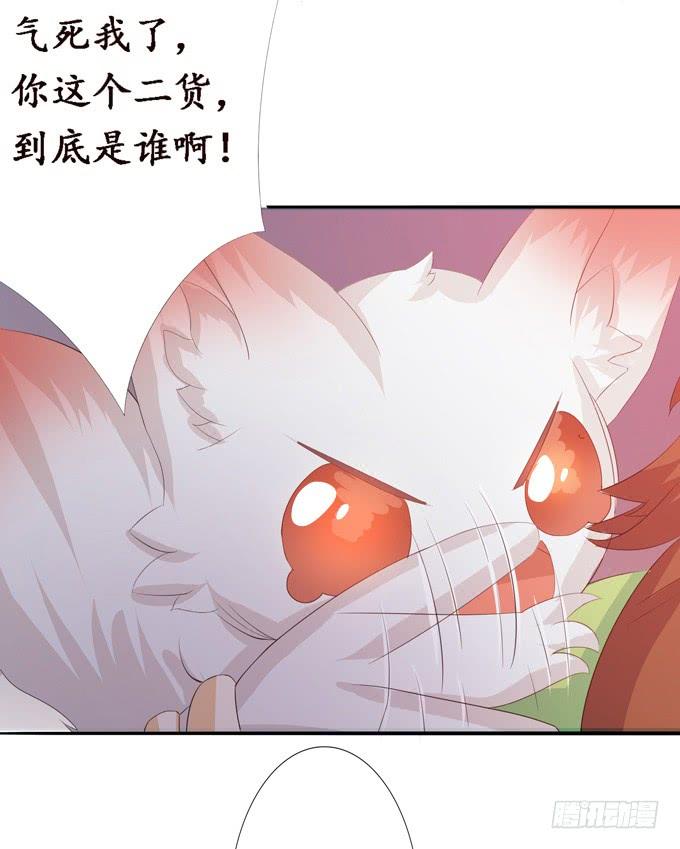 《妲己不是坏狐狸》可疑的同伴 第67页