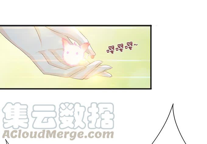 《妲己不是坏狐狸》可疑的同伴 第11页