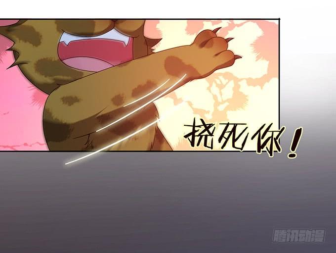 《妲己不是坏狐狸》另一个妲己 第13页