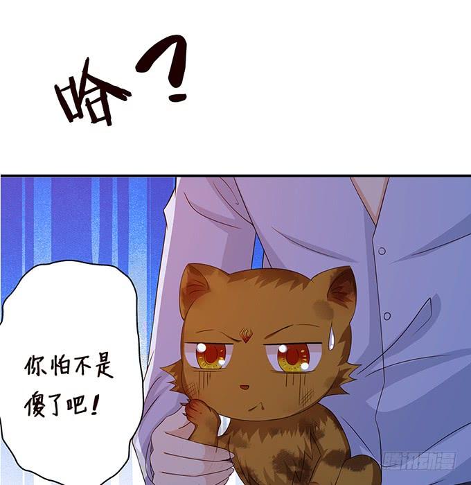 《妲己不是坏狐狸》另一个妲己 第18页