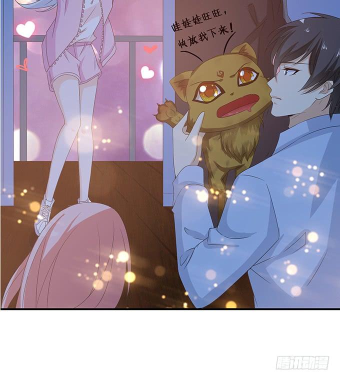 《妲己不是坏狐狸》另一个妲己 第17页