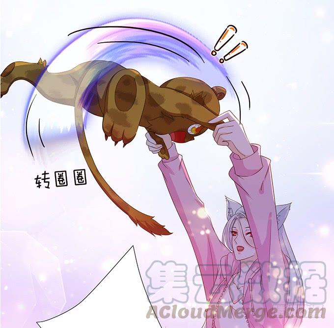 《妲己不是坏狐狸》另一个妲己 第21页