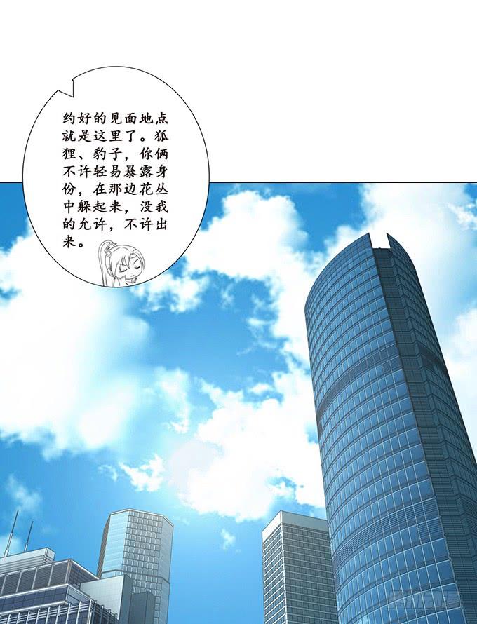《妲己不是坏狐狸》打赏女主播 第54页