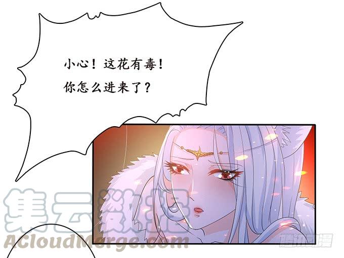 《妲己不是坏狐狸》赶到的救兵 第41页