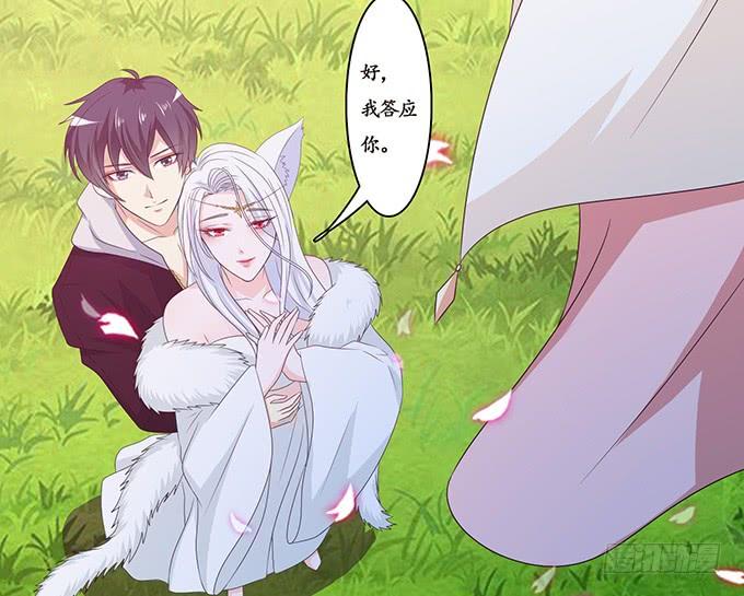 《妲己不是坏狐狸》守护的决意 第12页
