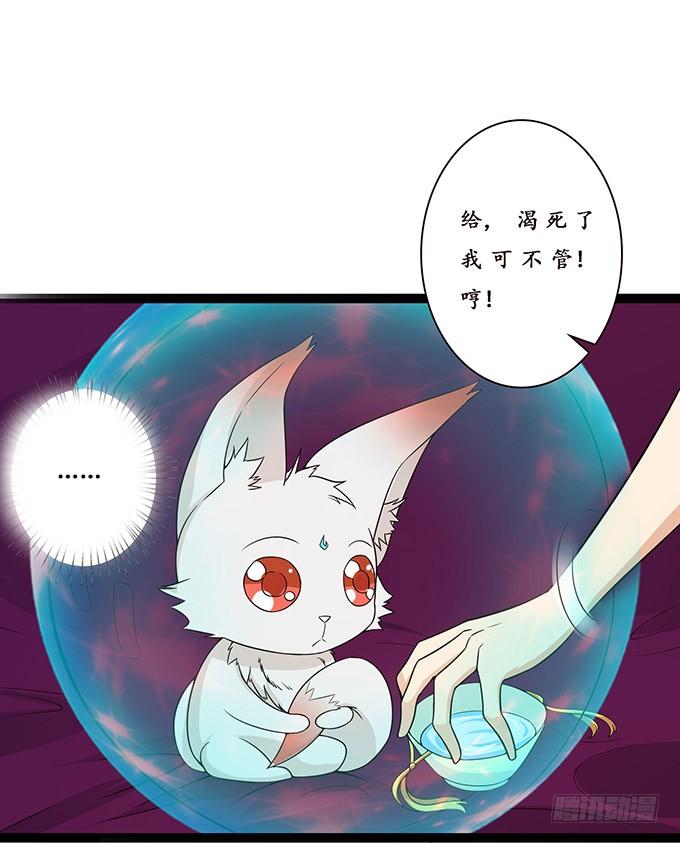 《妲己不是坏狐狸》两个女人一台戏 第4页