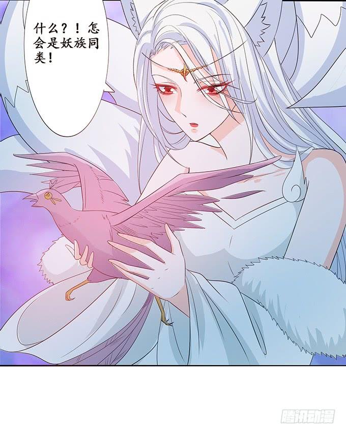 《妲己不是坏狐狸》女人的战争 第55页