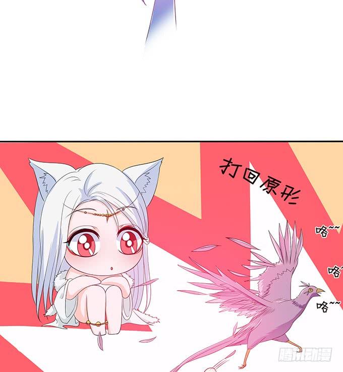 《妲己不是坏狐狸》女人的战争 第53页