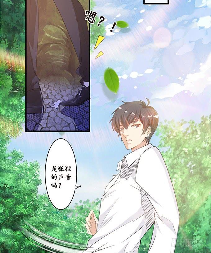 《妲己不是坏狐狸》今生的挚爱 第14页