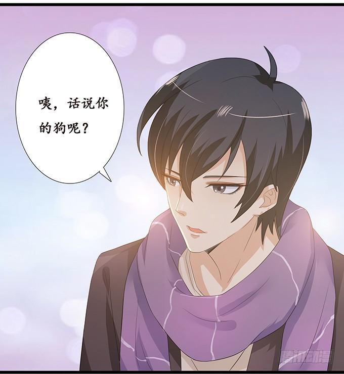 《妲己不是坏狐狸》小别的重逢 第26页