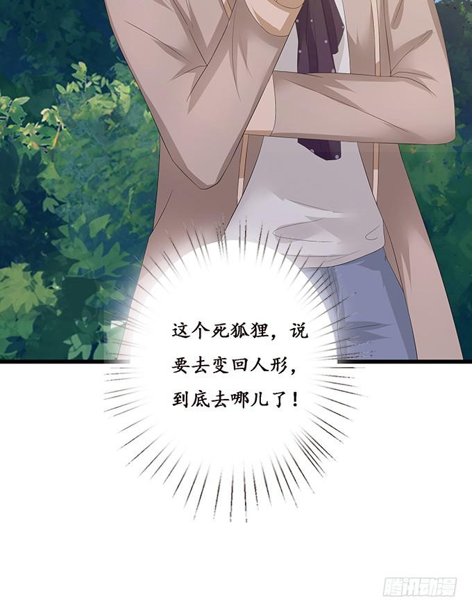 《妲己不是坏狐狸》小别的重逢 第28页