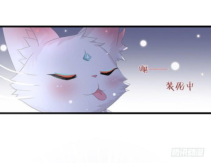《妲己不是坏狐狸》今生的重逢 第27页