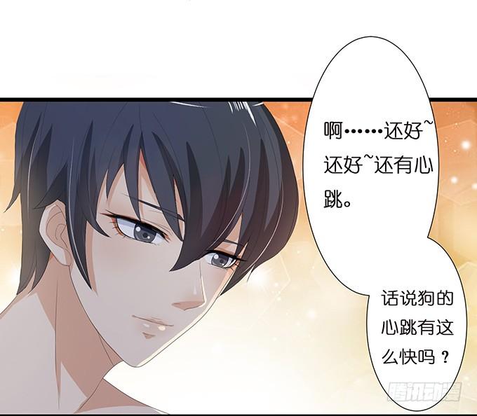 《妲己不是坏狐狸》今生的重逢 第34页