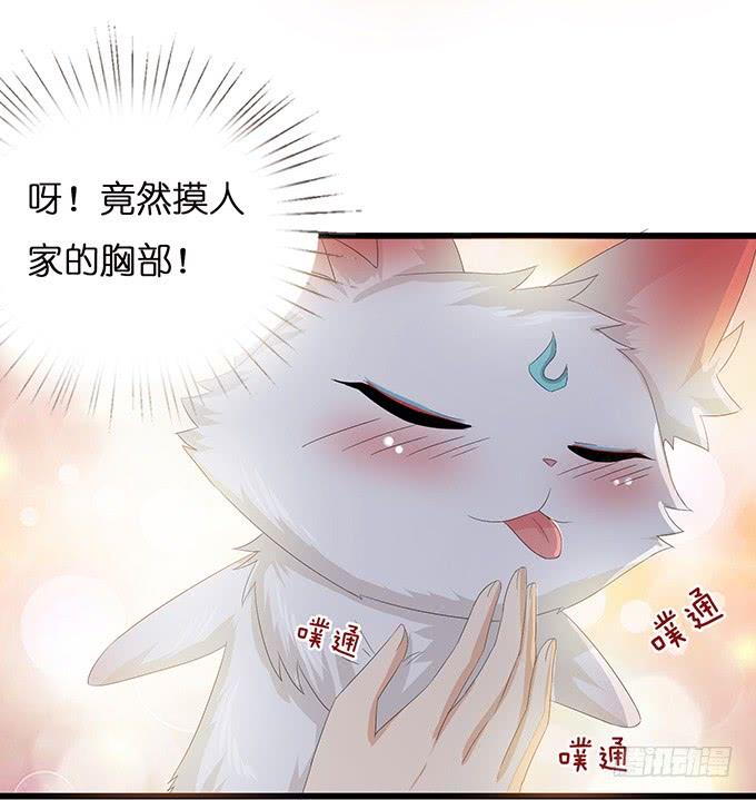 《妲己不是坏狐狸》今生的重逢 第33页