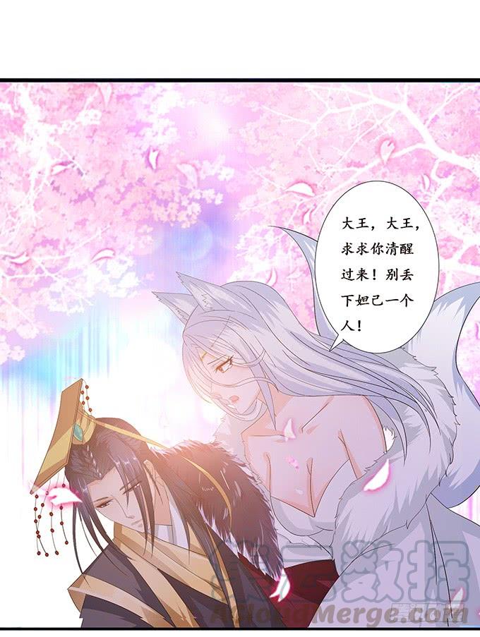 《妲己不是坏狐狸》初见的回忆 第41页