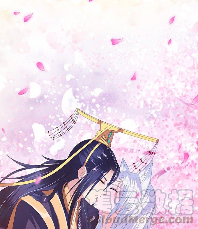 《妲己不是坏狐狸》再次的离别 第1页