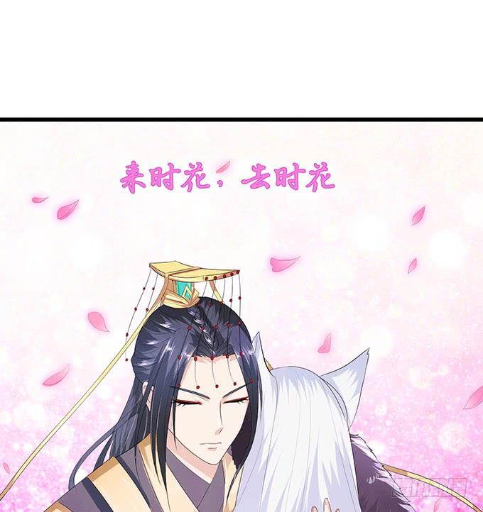 《妲己不是坏狐狸》再次的离别 第40页