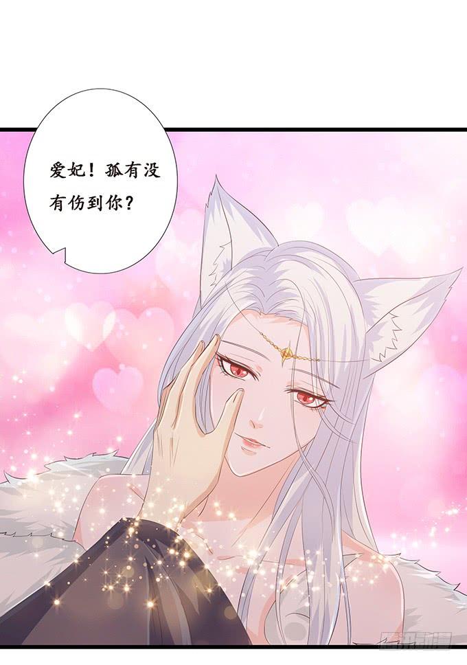 《妲己不是坏狐狸》再次的离别 第7页