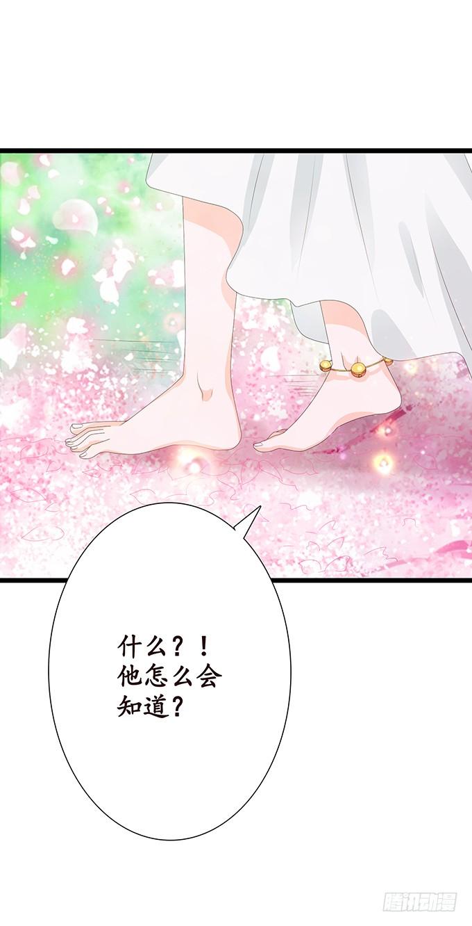 《妲己不是坏狐狸》真身的归来 第19页