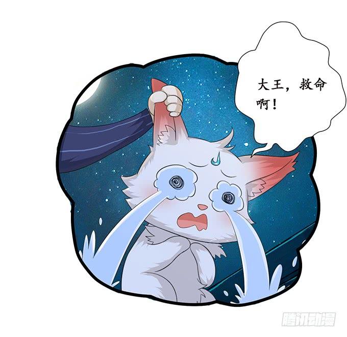 《妲己不是坏狐狸》消失的狐狸 第40页