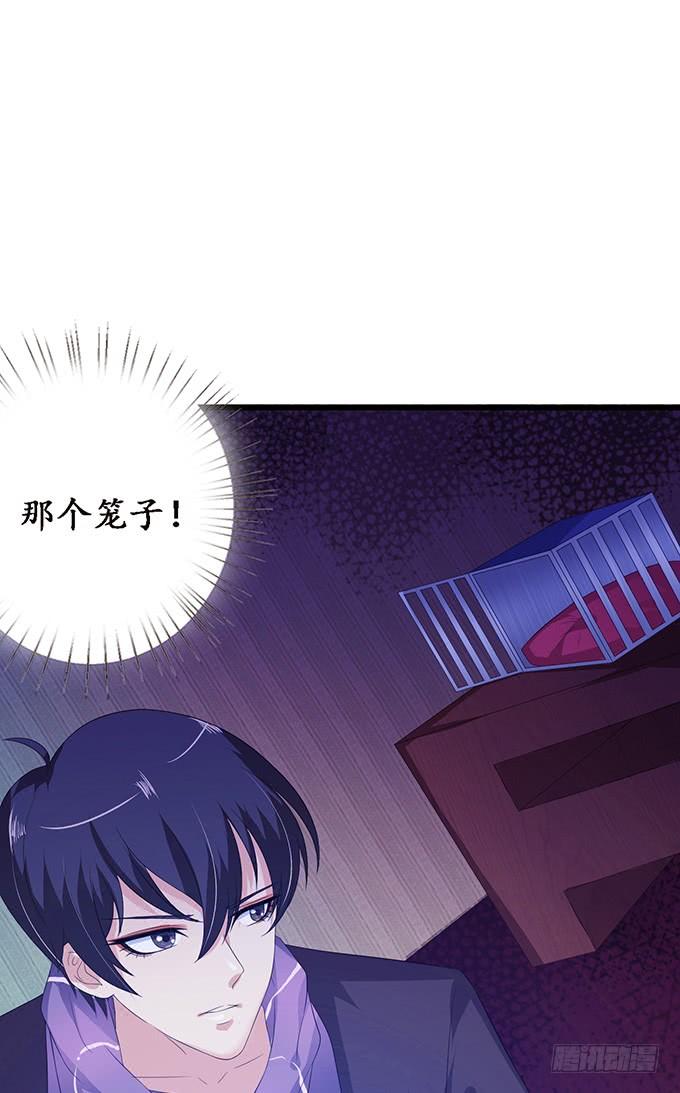 《妲己不是坏狐狸》消失的狐狸 第74页