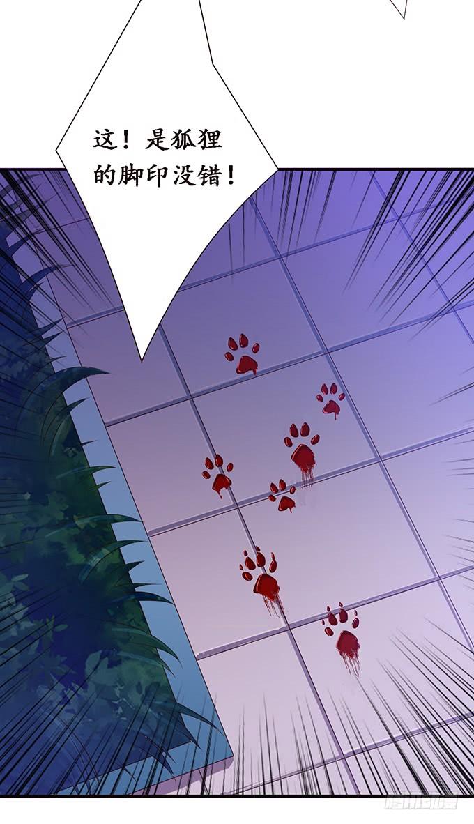 《妲己不是坏狐狸》暗夜的险境 第17页
