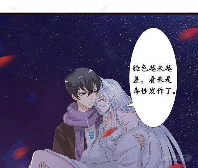 《妲己不是坏狐狸》危情的花海 第27页