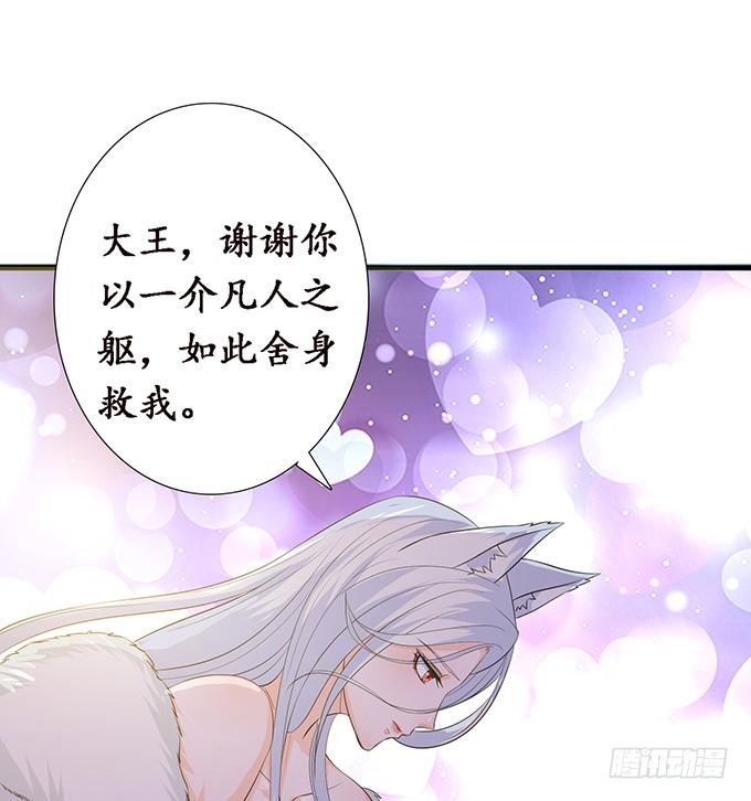《妲己不是坏狐狸》危情的花海 第15页