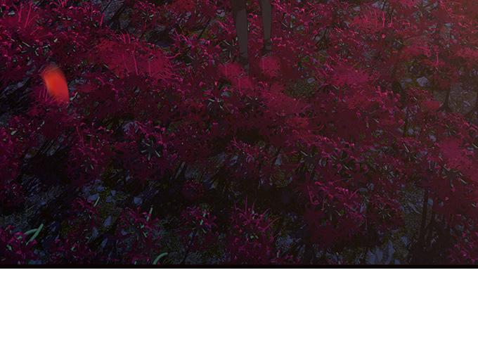 《妲己不是坏狐狸》危情的花海 第35页