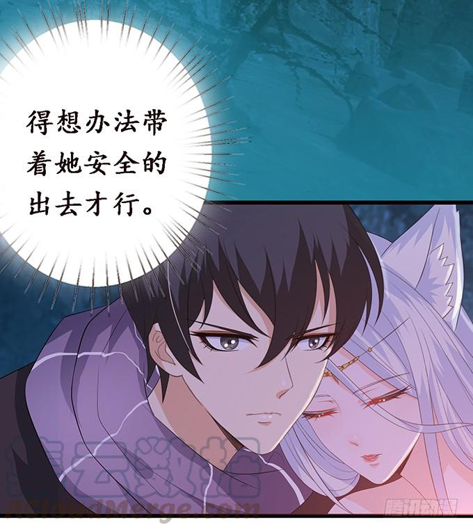 《妲己不是坏狐狸》危情的花海 第51页