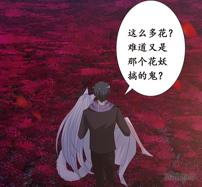 《妲己不是坏狐狸》危情的花海 第34页