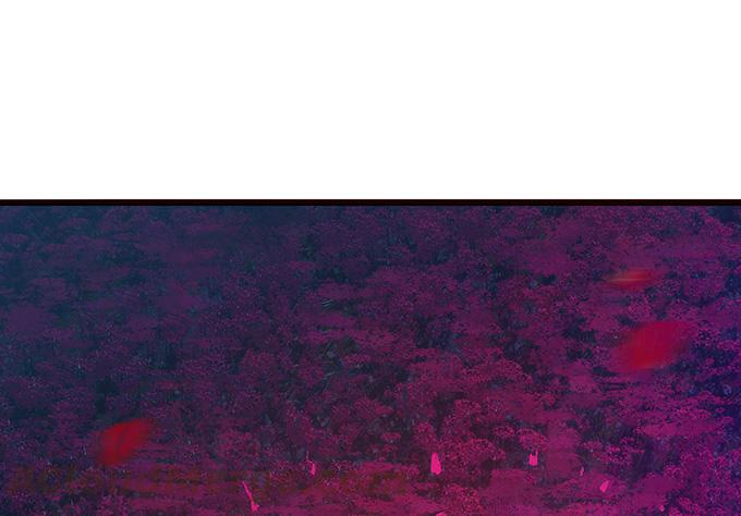 《妲己不是坏狐狸》危情的花海 第41页