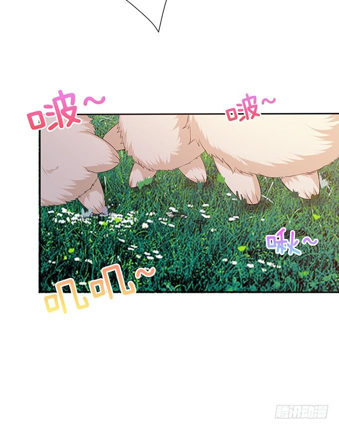 《妲己不是坏狐狸》意外的恩人 第36页