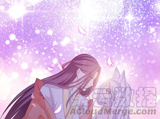 《妲己不是坏狐狸》今生的过往 第1页