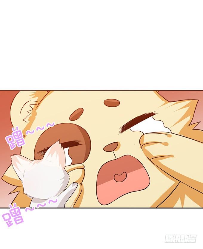 《妲己不是坏狐狸》灵魂生死咒 第35页