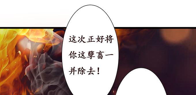 《妲己不是坏狐狸》激斗的开端 第83页