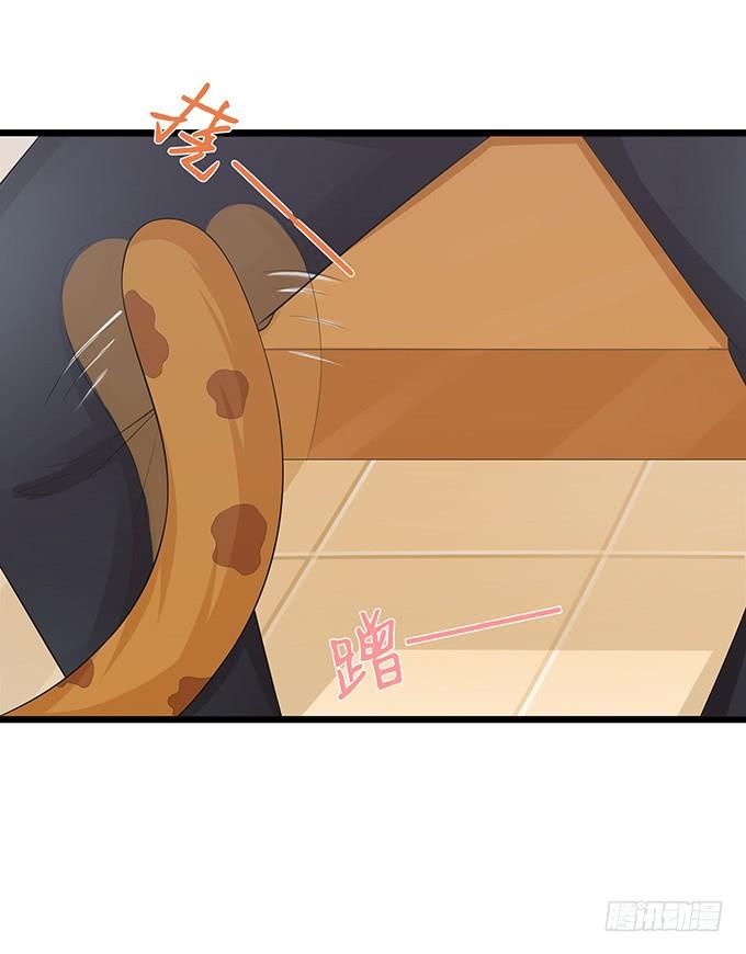 《妲己不是坏狐狸》甜蜜的暴击 第33页