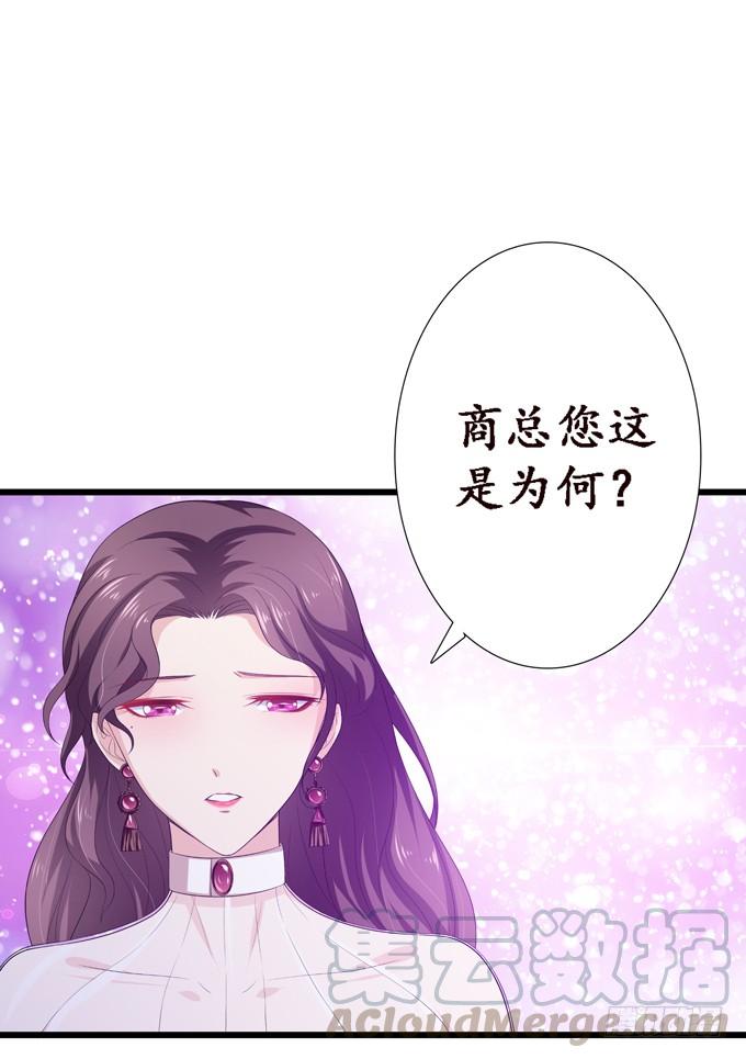 《妲己不是坏狐狸》老臣的诺言 第51页