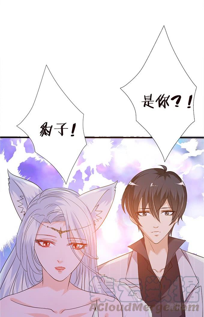 《妲己不是坏狐狸》各自的守护 第61页