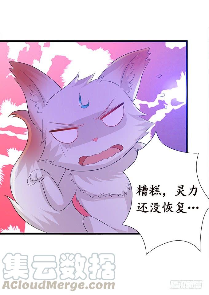 《妲己不是坏狐狸》大王的归来 第81页