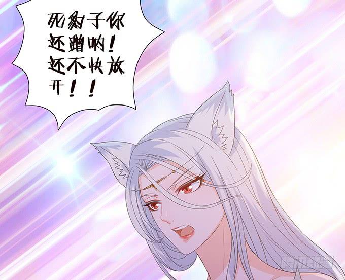 《妲己不是坏狐狸》大王的归来 第77页