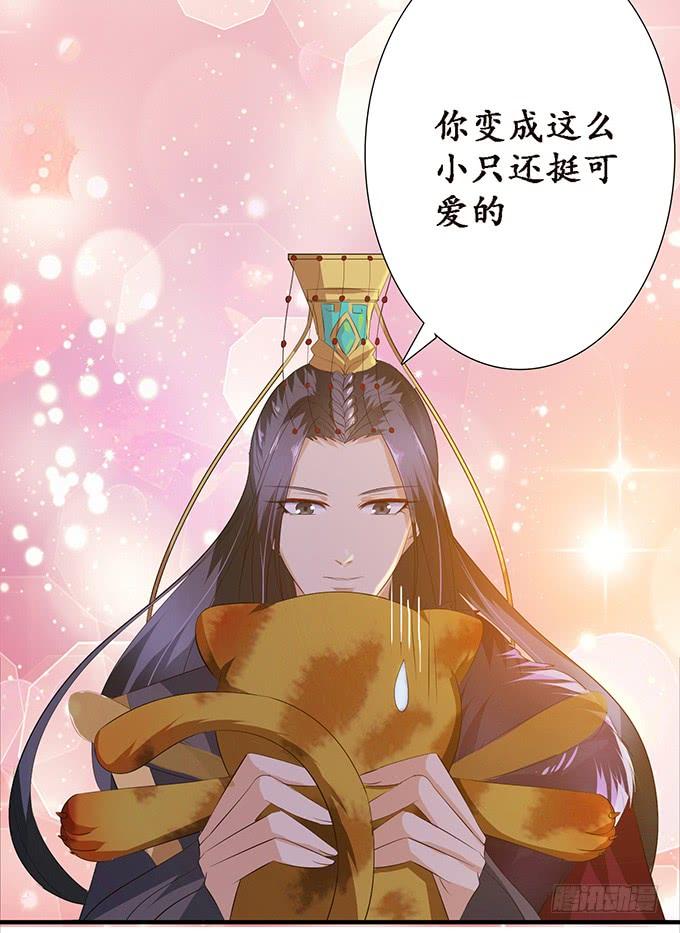 《妲己不是坏狐狸》大王的归来 第63页